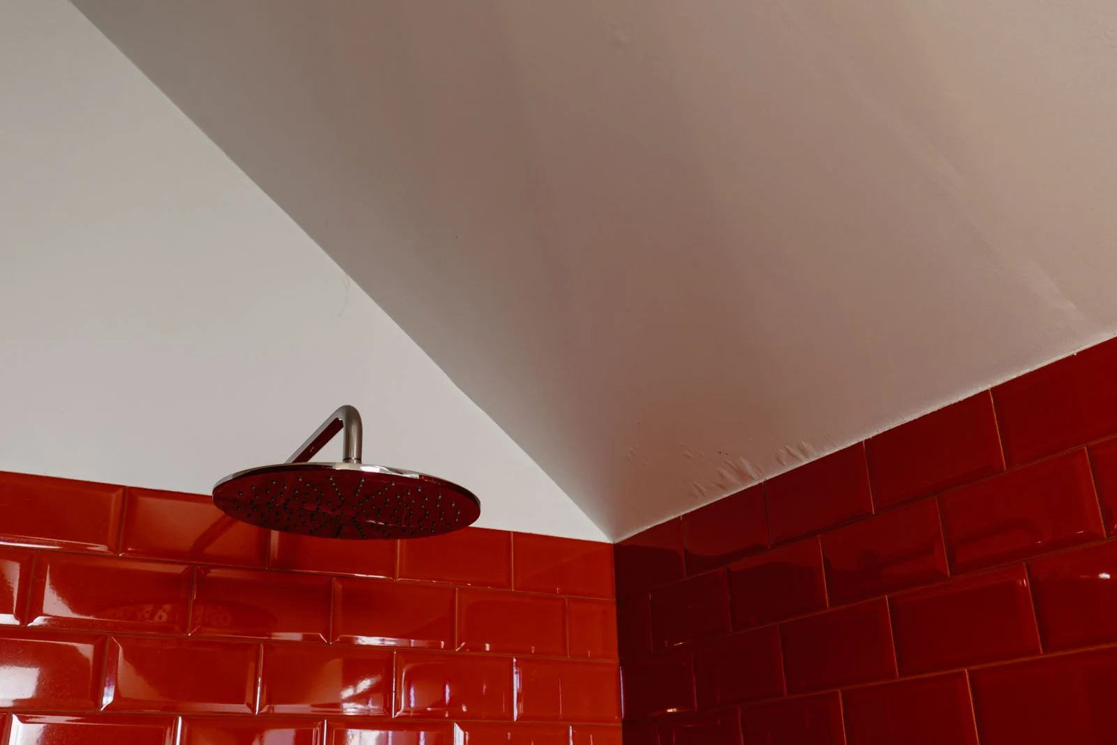 Stylish bathroom featuring red brick tiles and a stainless steel shower head. Perfect for contemporary interior design enthusiasts